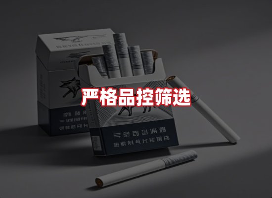 专业团队